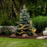 Medway Backyard Retreat