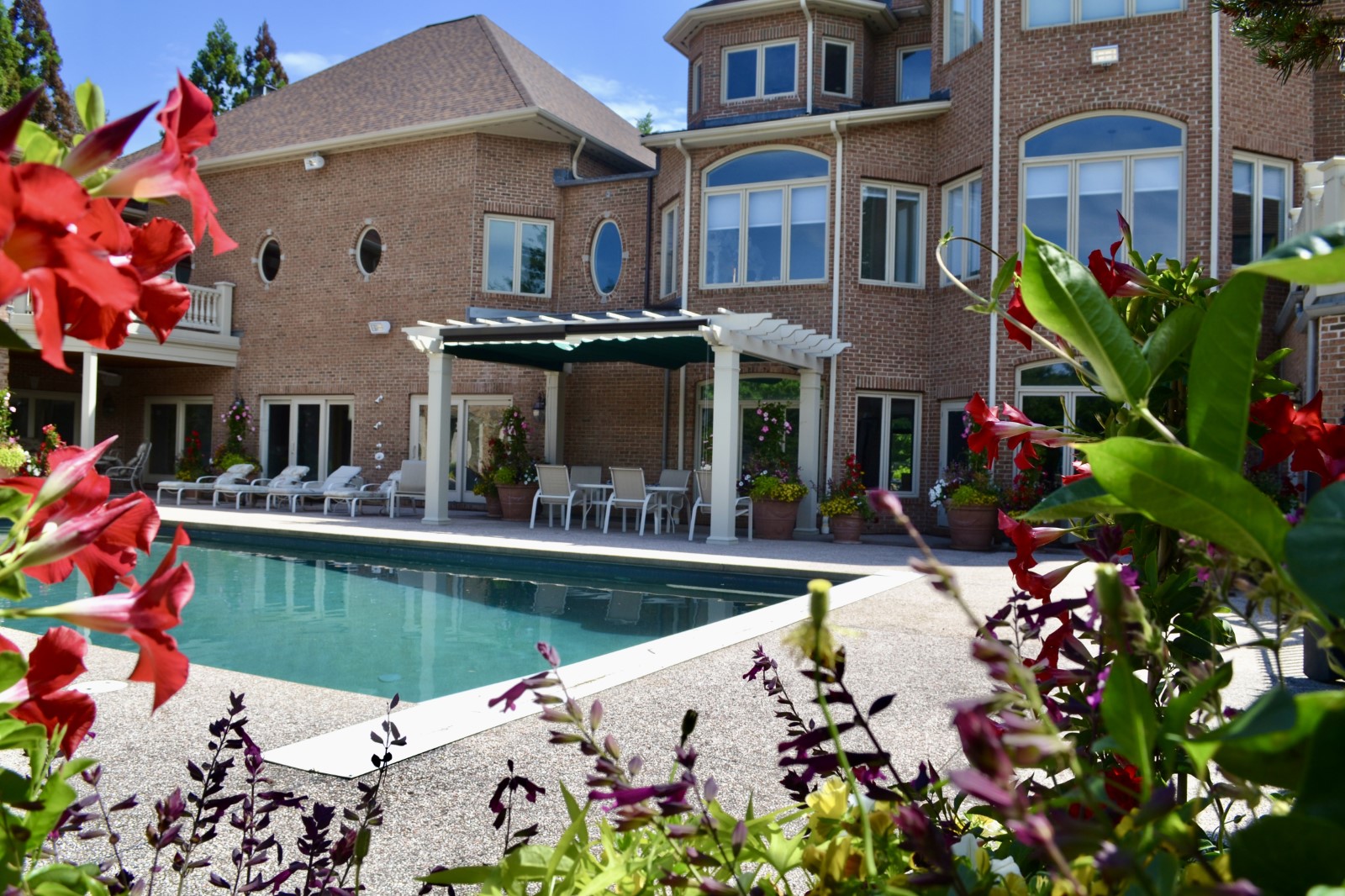 Westwood backyard oasis