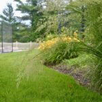 Westwood backyard oasis