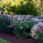 Medway Backyard Retreat