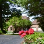 Westwood backyard oasis