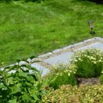 Westwood backyard oasis